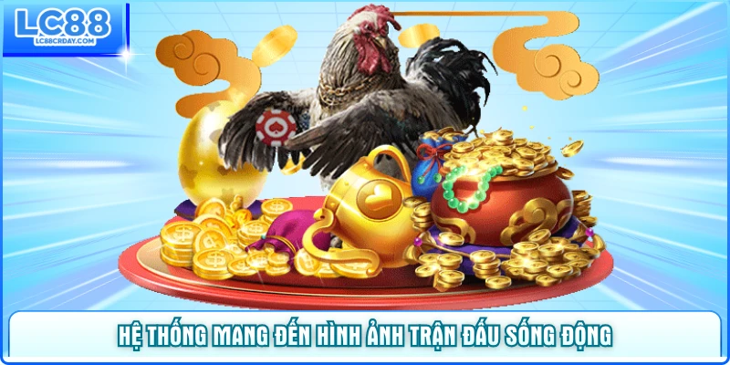 Hệ thống mang đến hình ảnh trận đấu sống động