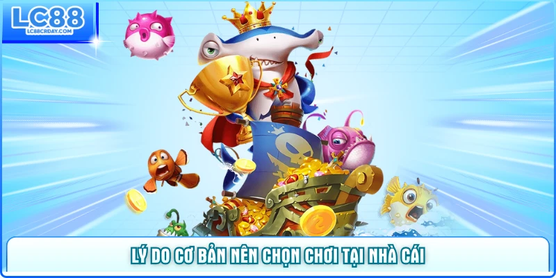 Lý do cơ bản nên chọn chơi tại nhà cái LC88