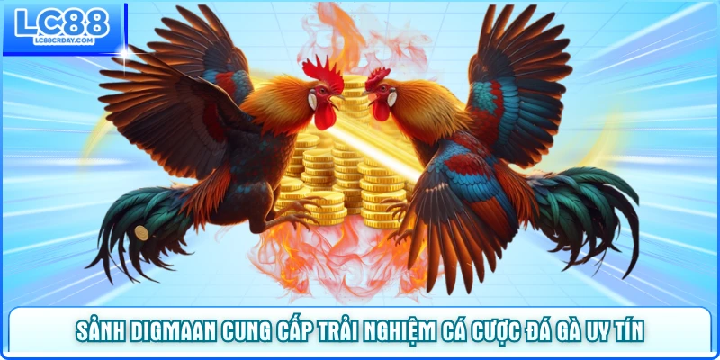 Sảnh Digmaan cung cấp trải nghiệm cá cược đá gà uy tín