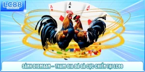 Sảnh Digmaan – Tham Gia Đá Gà Cực Chiến Tại LC88